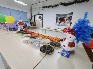 “多(duō)国(guó)风采、别具(jù)风格”的的圣诞节活动